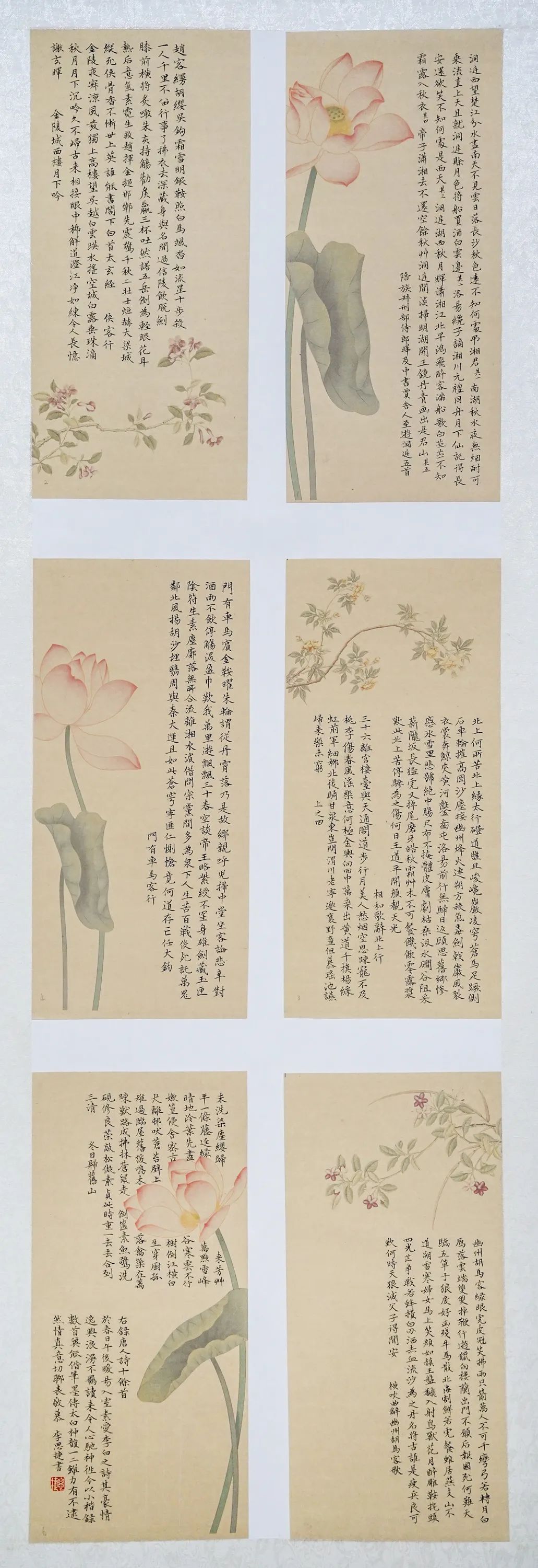 毕业季 | 南京师范大学泰州学院2025届书法学专业毕业作品展(图29)